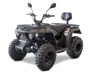 Linhai M210 2X4 EFI T3b